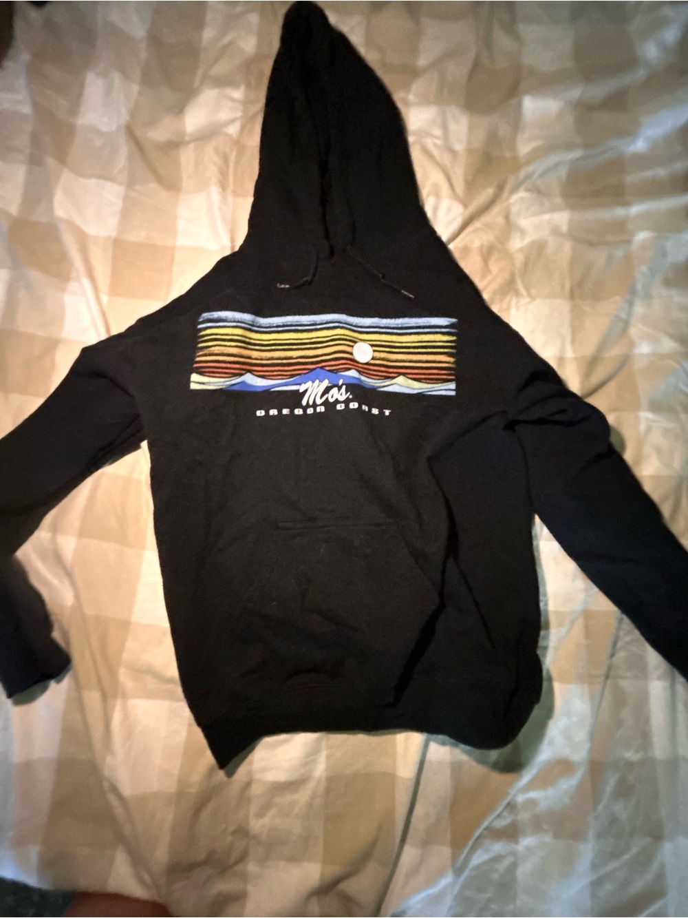 Gildan Black Hoodie with Multicolor Stripe Graphic